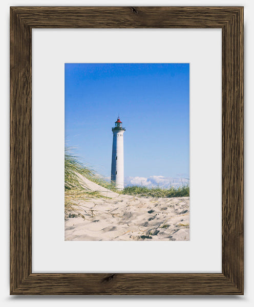 Knotty Woods - Walnut